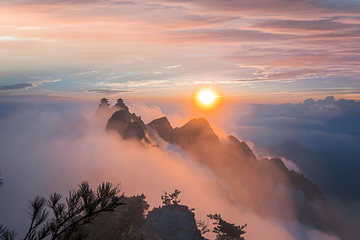 老君山景区第 48 张图片