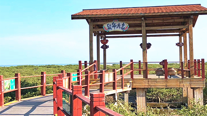 北海金海湾红树林生态旅游区第 36 张图片