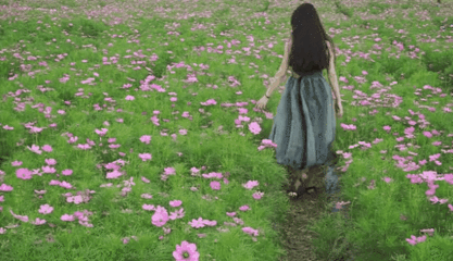 农科花海第 18 张图片