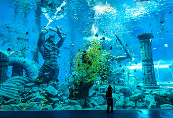 波塞冬海底世界第 17 张图片