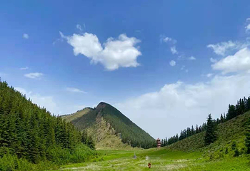 贺兰山广宗寺（南寺）生态旅游区第 35 张图片