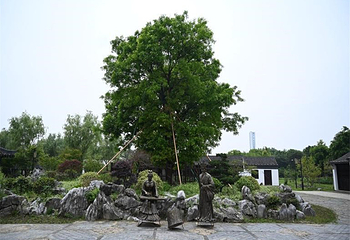 古里红豆山庄第 42 张图片