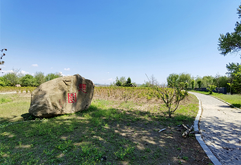 太阳岛(鸭绿江国家级风景名胜区店)第 32 张图片