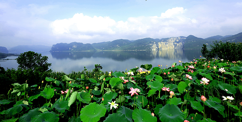 飞龙湖浪水湾景区第 3 张图片
