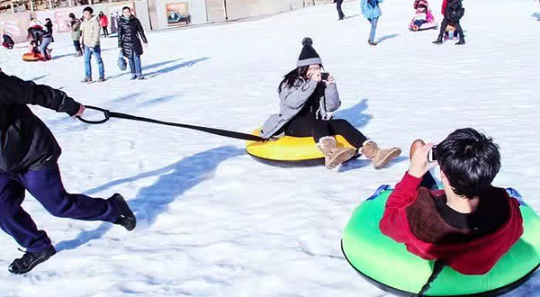 双街花卉博览园