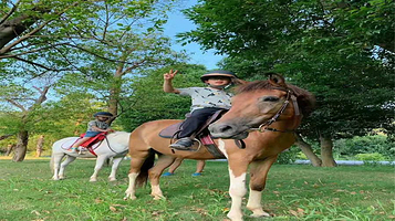 星乐马术俱乐部