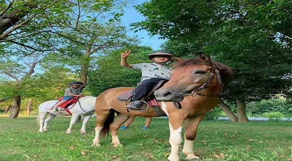 星乐马术俱乐部