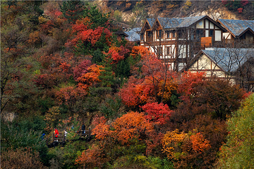 九如山休闲旅游度假区第 173 张图片