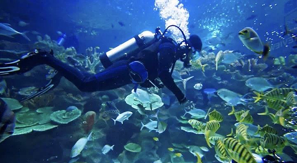 西安梦潜潜水俱乐部