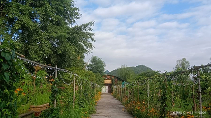阳光盆景园(黔桂万峰城店)第 1 张图片