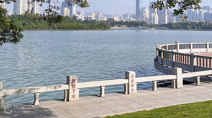 筼筜湖带状公园第 5 张图片