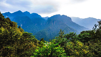 五指峰第 1 张图片