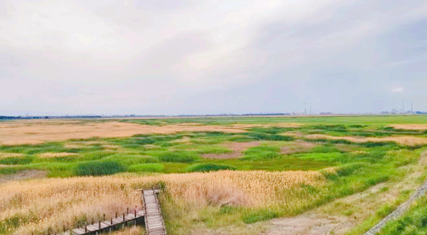 玛纳斯国家湿地公园