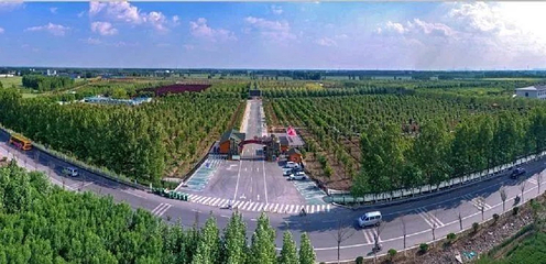 四季牡丹园第 3 张图片