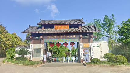 花田厝鲜花艺术小镇第 3 张图片
