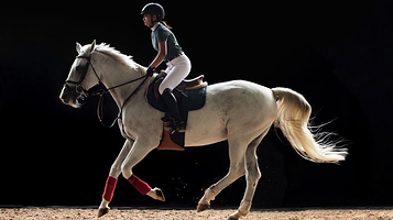 熙熙马术(转塘基地)