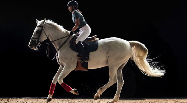 熙熙马术(转塘基地)