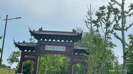 龙山森林公园第 1 张图片