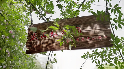 开州盛山植物园第 2 张图片