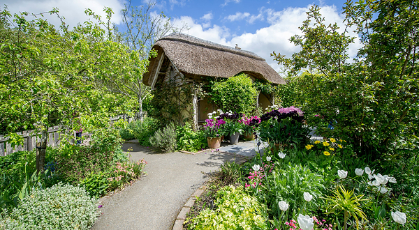 皇家园艺学会罗斯莫尔花园