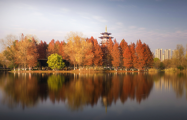 洋湖湿地公园第 9 张图片
