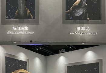 寻梦巨龙达尔文沉浸式数字空间第 1 张图片