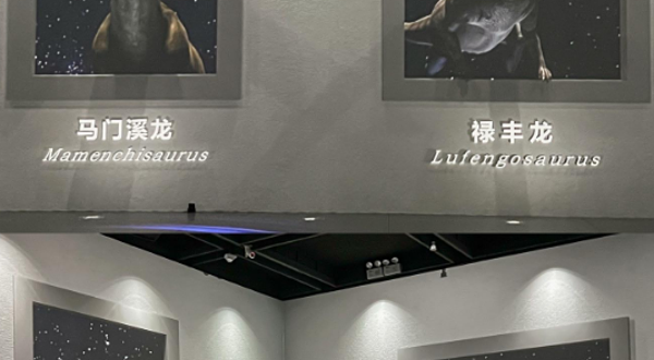 寻梦巨龙达尔文沉浸式数字空间