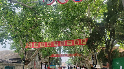 六姊妹游园第 1 张图片