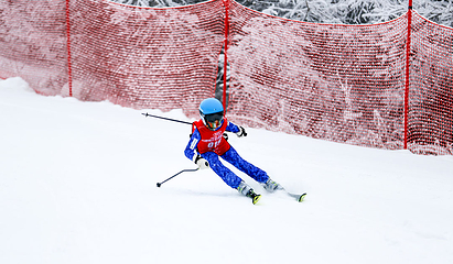 神农架国际滑雪场第 5 张图片