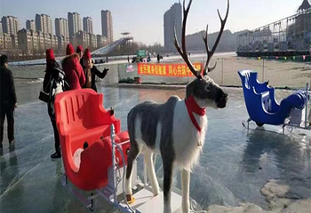 长春市青年公园-长春北城冰雪乐园第 3 张图片