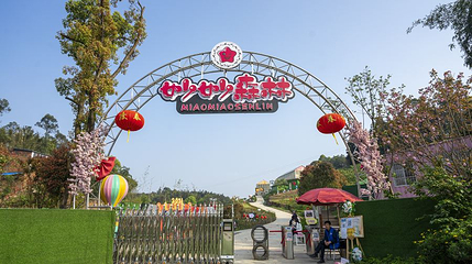 妙妙森林农业科普乐园第 1 张图片