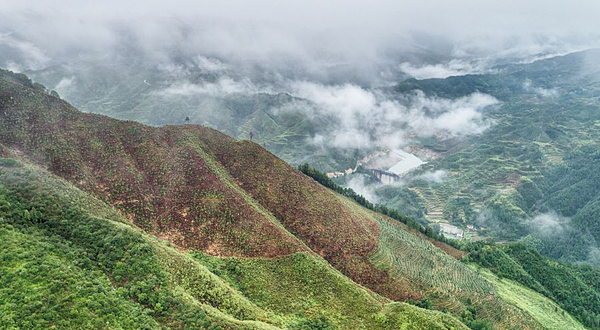 古田山自然保护区