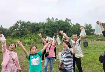 握野村第 8 张图片