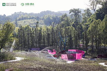 大观园乡村旅游度假区第 17 张图片