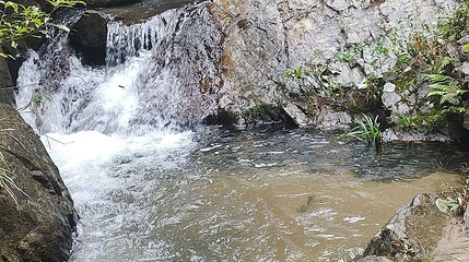 龙颈瀑布风景区第 1 张图片