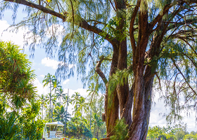 理查森海洋公园