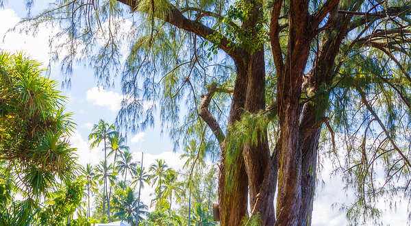理查森海洋公园
