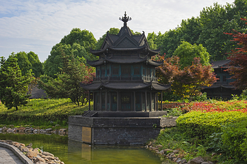 君山岛景区第 10 张图片
