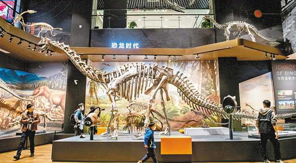 重庆自然资源科普馆