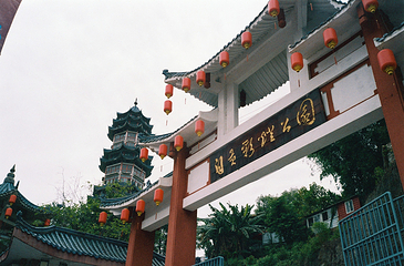 自贡彩灯公园第 8 张图片