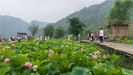 石菊古地旅游景区第 13 张图片