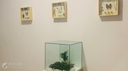 萤火虫星空艺术馆(天津店)第 7 张图片
