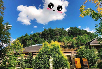 国信南山温泉第 20 张图片