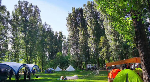 响水008露营基地