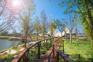 喜马拉雅露营轰趴(东台店)