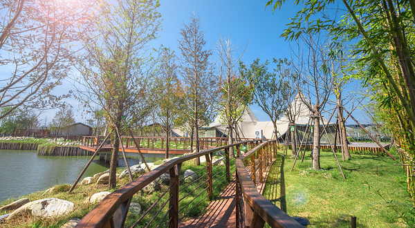 喜马拉雅露营轰趴(东台店)