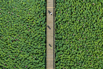 辽河七星湖景区(石佛寺水库)第 14 张图片
