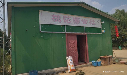桃花源公社第 1 张图片