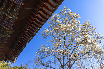 红螺寺第 57 张图片