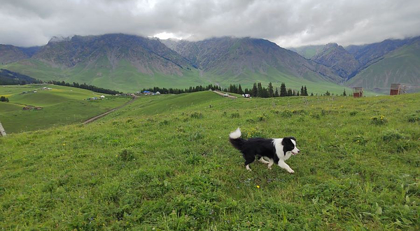 江布拉提星空草原露营地